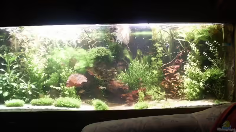 Front von Dschinn (11)