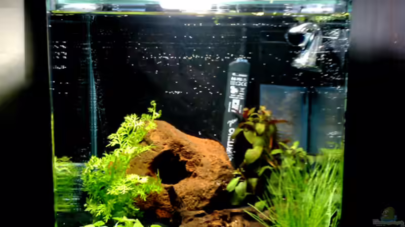 Front von Emmemm (1)