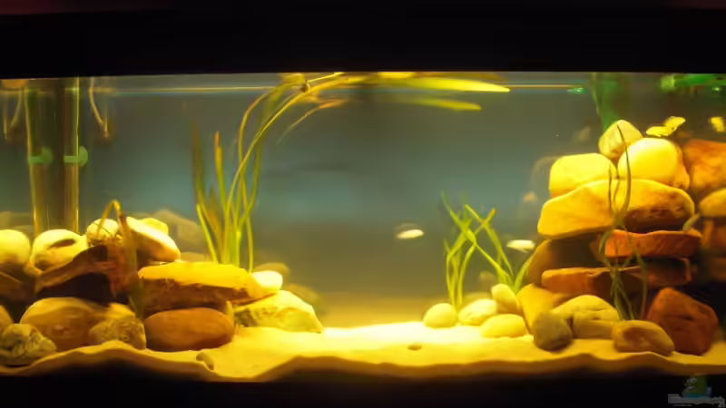 Front von Hanse79 (1)