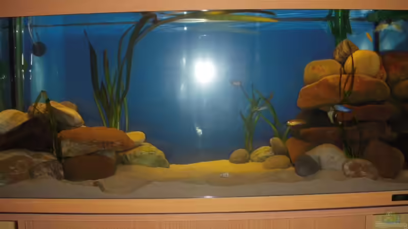 Front von Hanse79 (2)