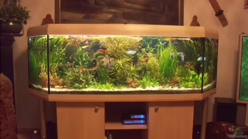 Front von Kai Holdinghausen (14)