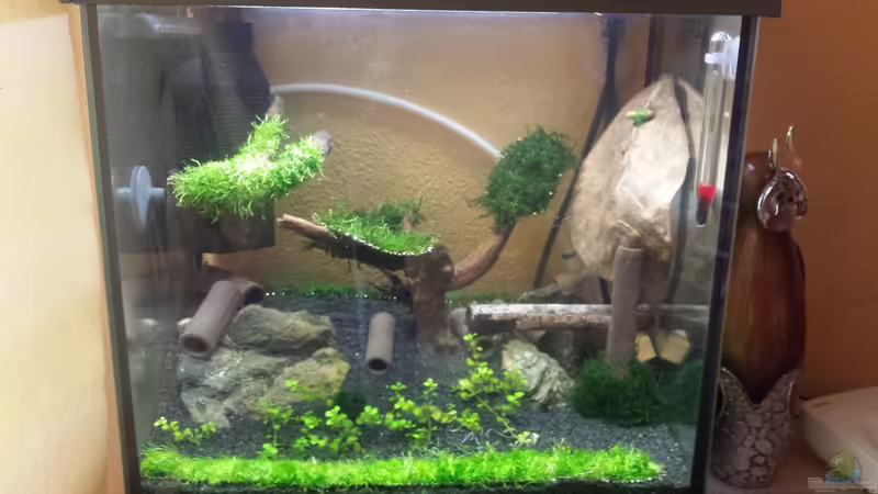 Front von Lucky3310 (3)