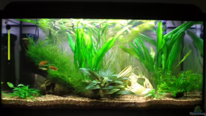 Front von Michael Meyer (1)