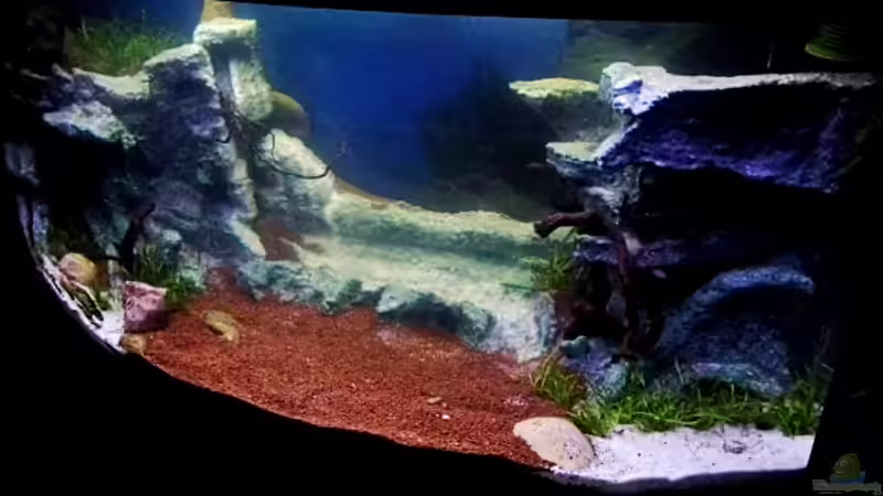 Front von snooze (37)