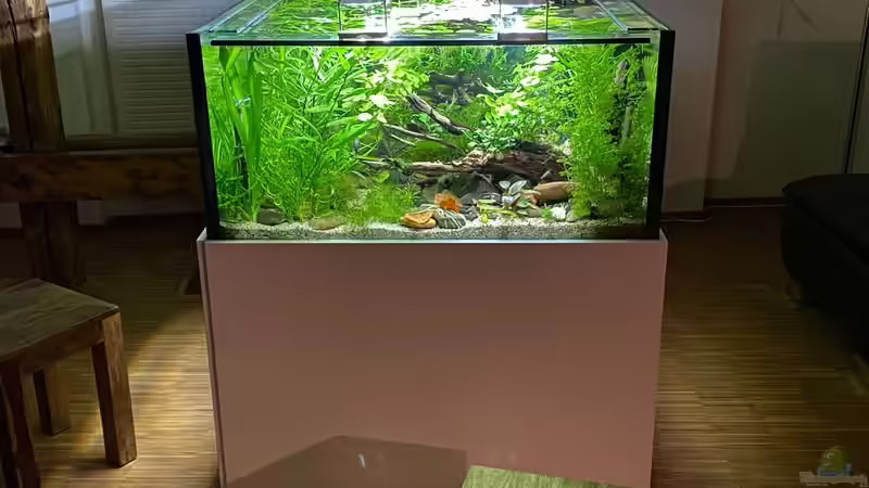 Front von Tavira2000 (5)