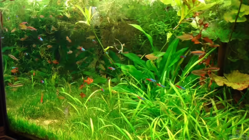 Front von Udo März (2)