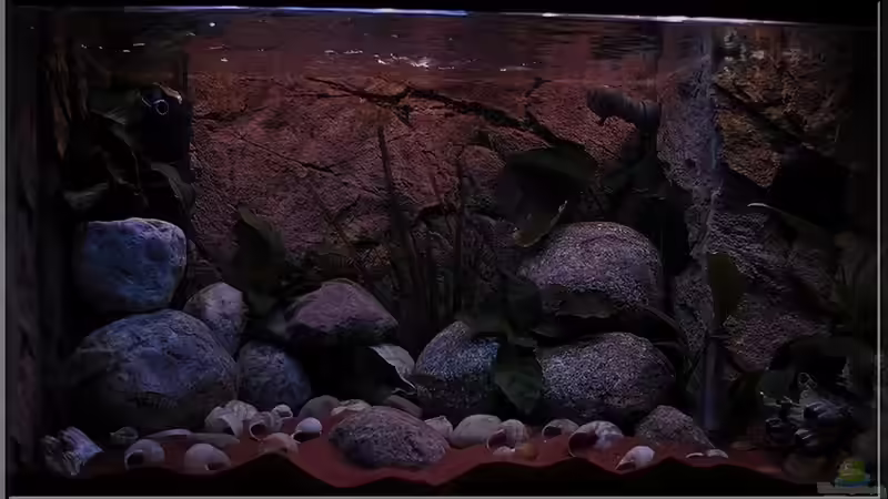 Frontal (1) - Tagesbeleuchtung von ***ELLIS*** (3)