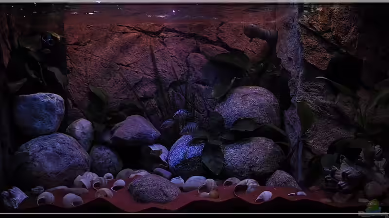 Frontal (3) - ??bergang zur Nacht... von ***ELLIS*** (5)