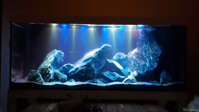 Frontal Ansicht bei 70 % Beleuchtung von Mondamin (11)