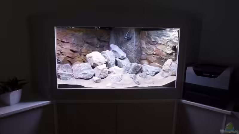 Frontal Licht aus im Becken an:-) von Tobias.Neher (10)