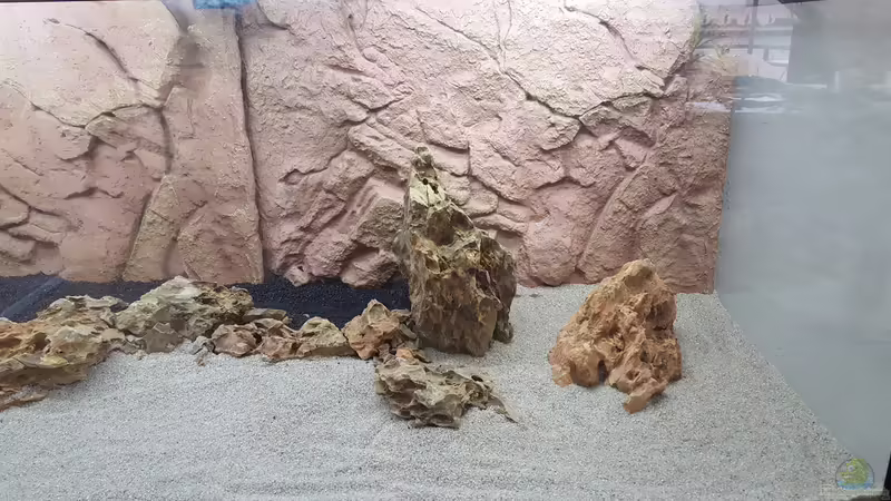 frontal_links_1 von Chris-BluBB (6)