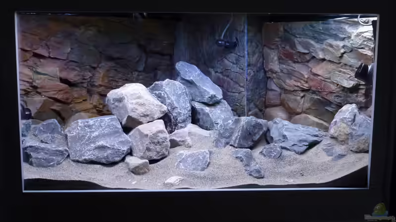 Frontal mit heller Beleuchtung (1. Versuch) von Tobias.Neher (28)