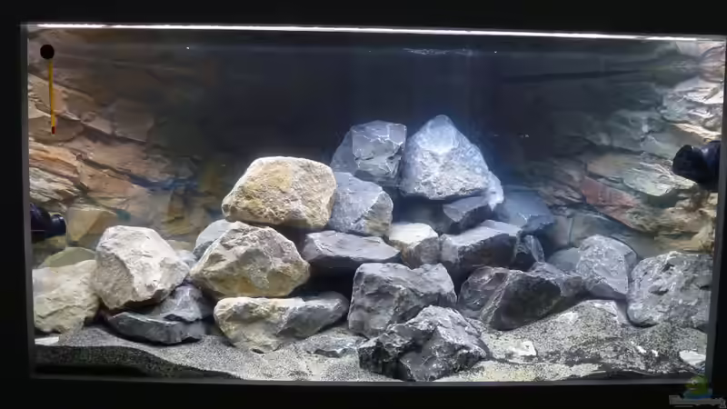 Frontal mit heller Beleuchtung (Final) von Tobias.Neher (30)