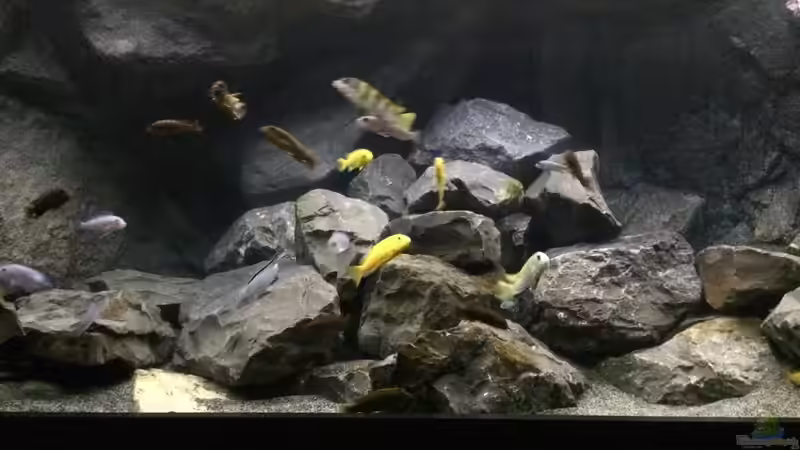 Frontal nach Neugestaltung von Tobias.Neher (4)