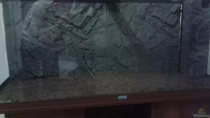 Frontal von Deoroller (4)