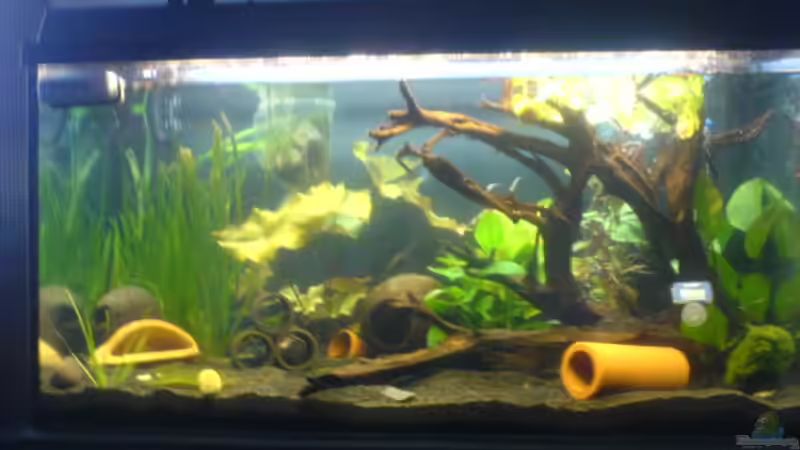 Frontalansicht, mittlerweile siehts aber anders aus! von Ady (1)