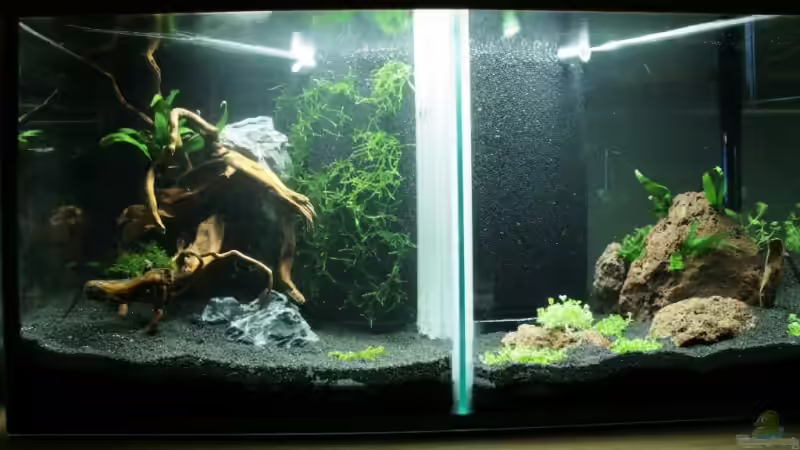 Frontalansicht 18.01.2009 ! von StefanE. (1)