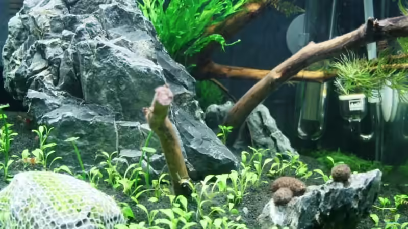 Frontalansicht 18.12.2008 von StefanE. (3)