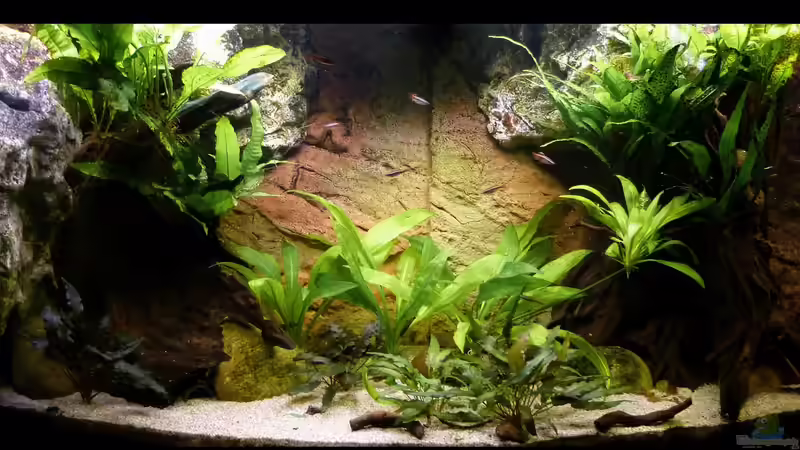 Frontalansicht April 2015 von nokoeh (3)