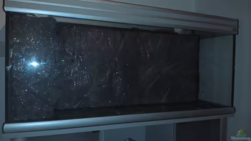 Frontalansicht auf die beiden eingeklebten Wandteile.  von Patrick Scheffer (20)