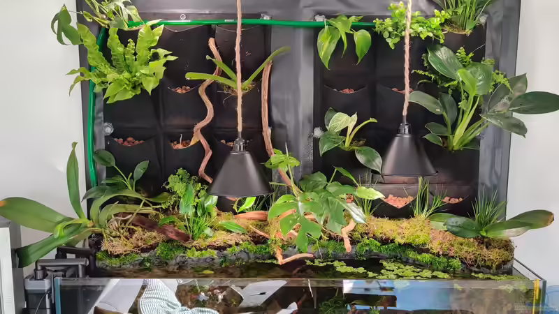 Frontalansicht Aufbau von xpate (11)