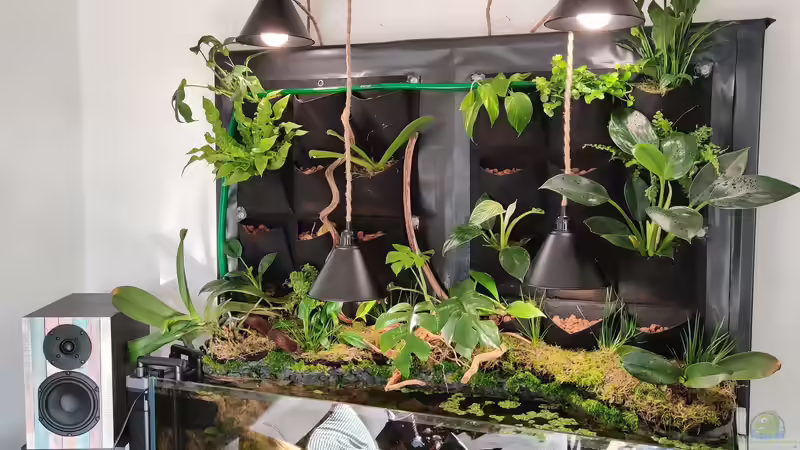 Frontalansicht Aufbau von xpate (12)