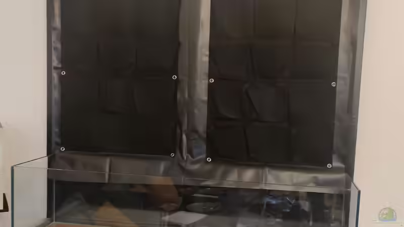 Frontalansicht Aufbau von xpate (2)