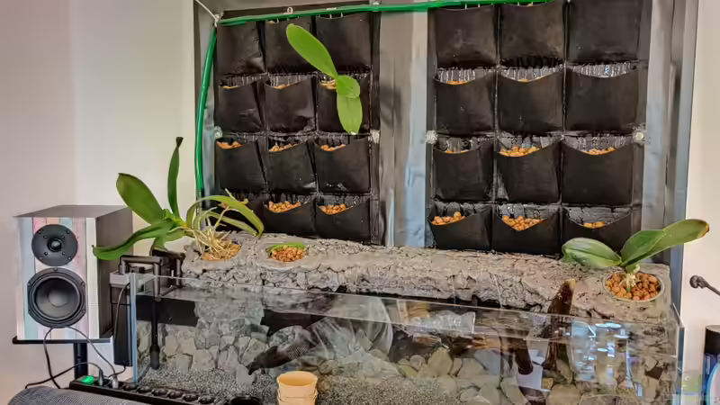 Frontalansicht Aufbau von xpate (5)