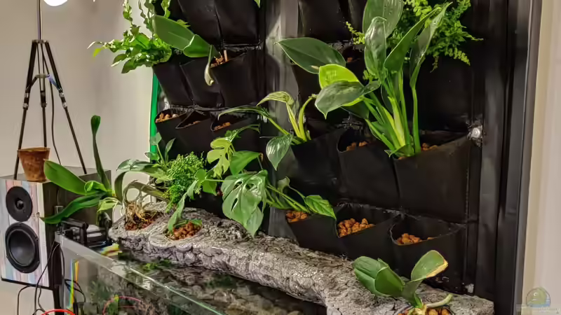 Frontalansicht Aufbau von xpate (7)