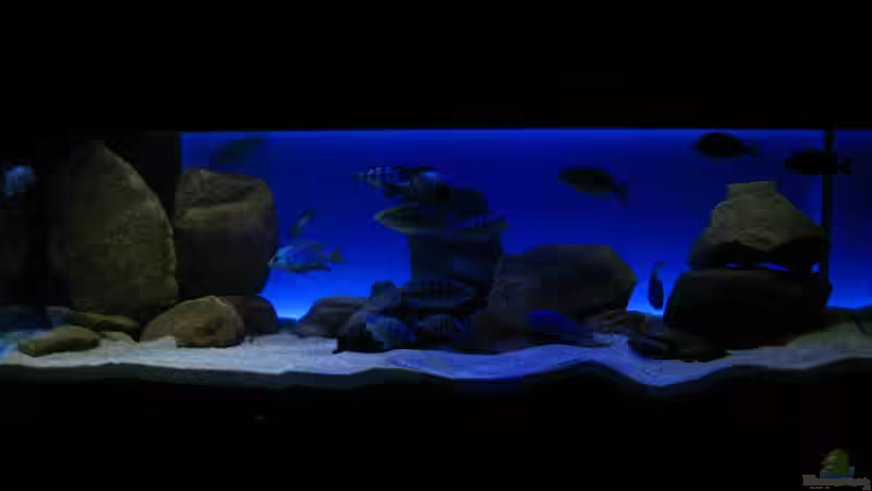 Frontalansicht Komplettbeleuchtung von Oeli (51)