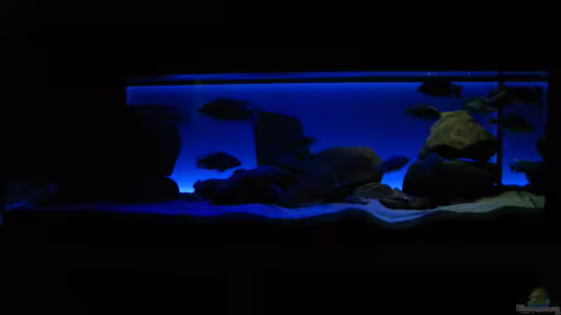 Frontalansicht ML + HB + Rechte Seite LED-weiß von Oeli (49)