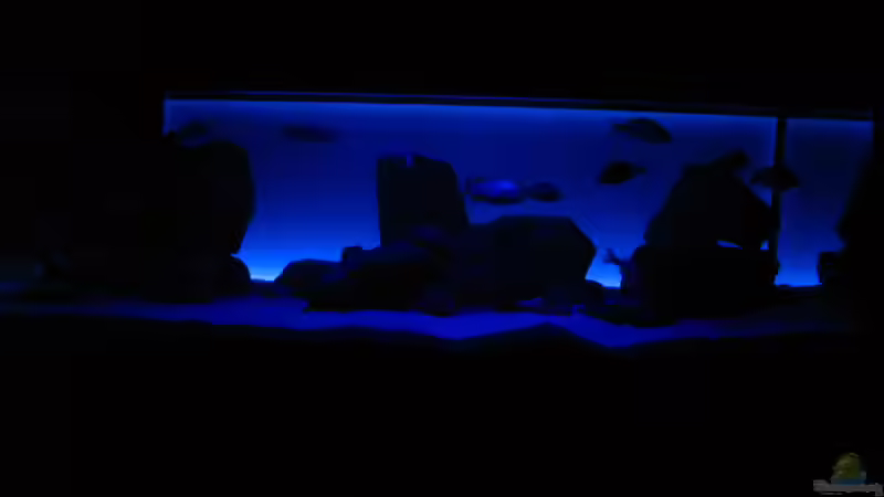 Frontalansicht ML + Hintergrundbeleuchtung von Oeli (47)