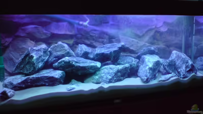 Frontalansicht noch ohne Besatz von FinalDragon (16)