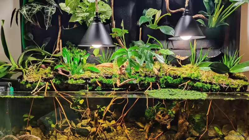 Frontalansicht Stand 04.03.22 von xpate (15)