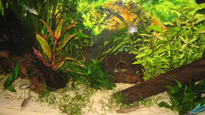 Frontalansicht von Daniel Knott (2)