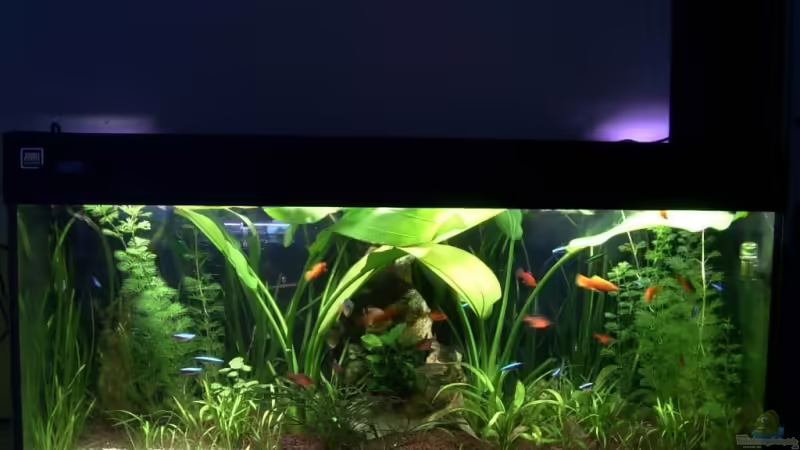 Frontalansicht von Sascha Houben (1)