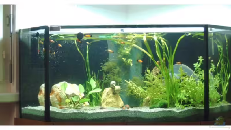 Frontalaufnahme am 9. Nov 2007