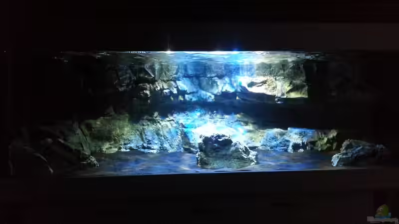 Frontale Ansicht von ~MISCHA WILKEN~ (6)