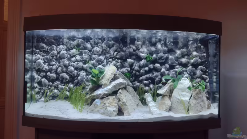 Frontale Sicht auf das Aquarium von Wilhelm94 (1)