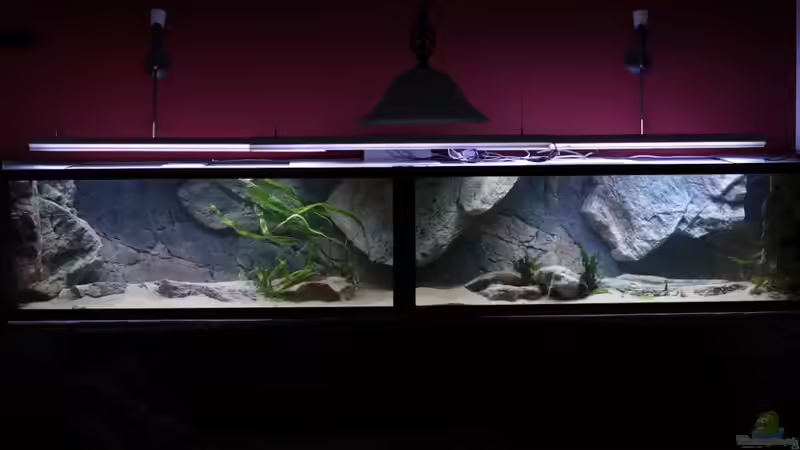 Frontale von Keule73 (3)