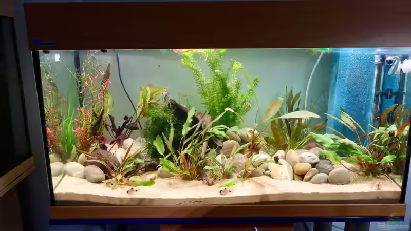 Frontalsicht bei eingeschaltetem Licht ! von NOWI1976 (13)