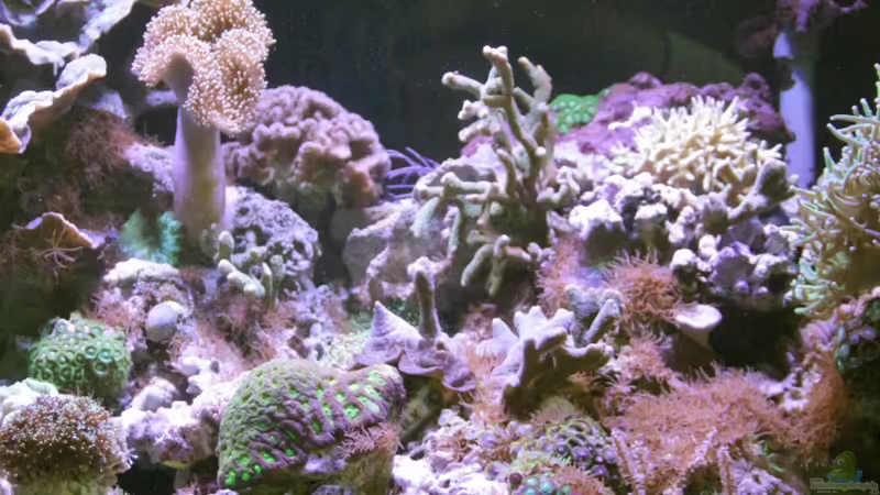 Frontansich3 von Sven Jastrow (3)