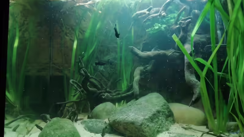 Frontansicht - 17.10.19 von - Stephen - (7)