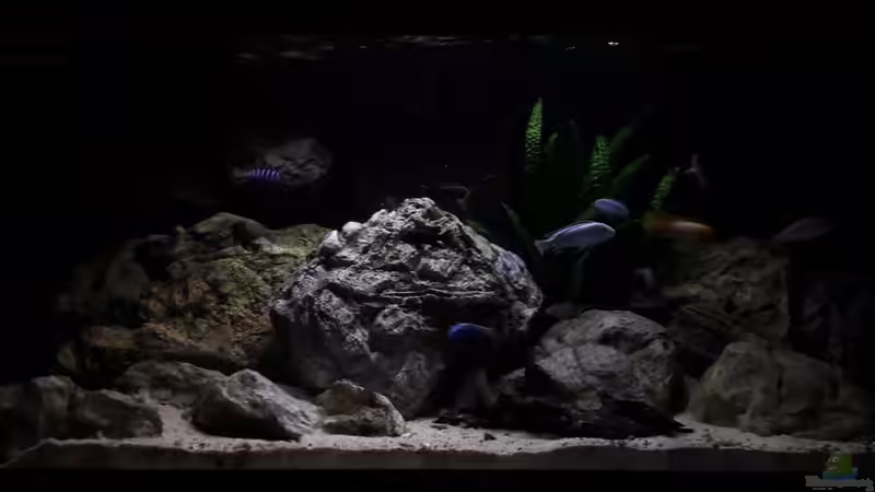 Frontansicht - bei Sonnenuntergang  von MGR (17)