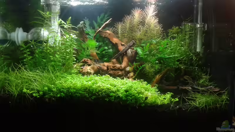 Frontansicht, 03.06.2016