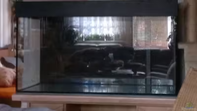 Frontansicht, kurz vorm befüllen. von raubsau (15)