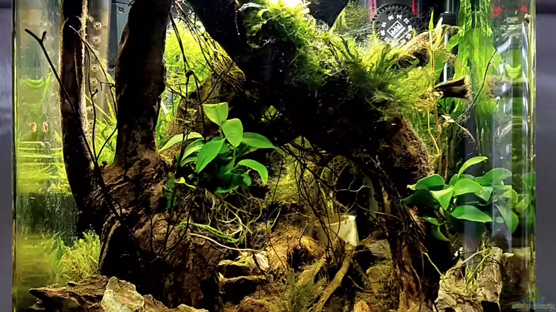 Frontansicht  von Erik H. (2)