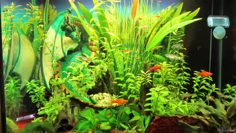 Frontansicht 01 von Hobbl (2)