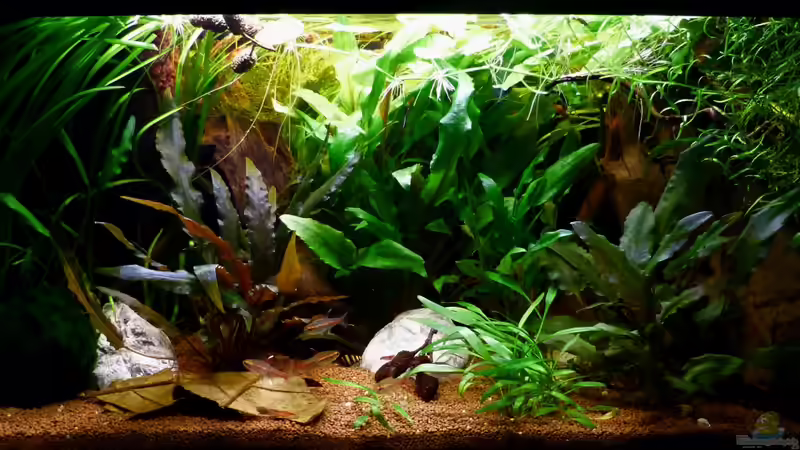 Frontansicht 02.01.12 von ~Marco~ (12)