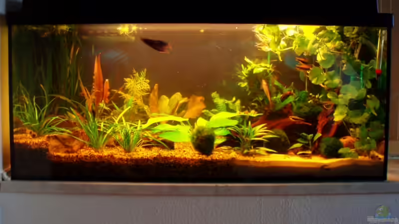 frontansicht 02.04.09 von ~Marco~ (2)